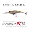Megabass SHADING-X R 75 GG Megabass Skin Kuro 75mm