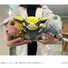 Capcom Monster Hunter Wildsmon Defoo Plush Toy Alschveld Approx. H140 x W220 x D260 mm Polyester