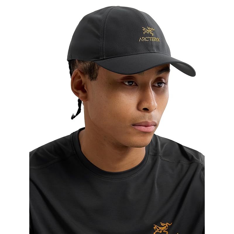 

Arc teryx bird word cap | 24K black L XL
