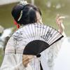 Chinese Style Handheld Fan Retro Cool Fan Creative Folding Butterfly Fan  Home Decor