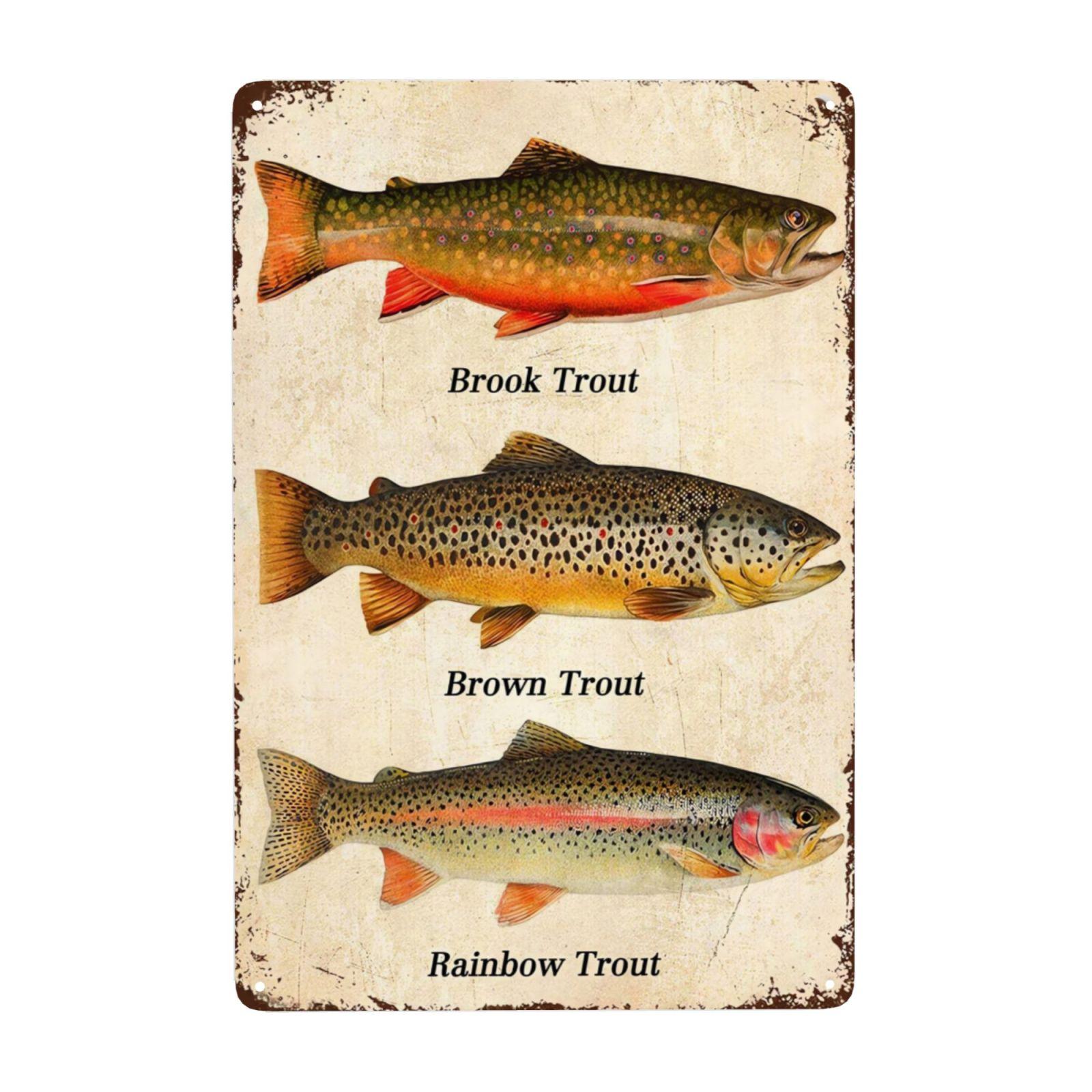 

Винтажные металлические знаки для рыбалки, домик для рыбы, знак «дом у озера», подарки для рыбака, настенное искусство для рыбалки, забавный декор для дома 8x12 дюймов 20x30cm