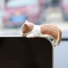 Miniature Cat Figurines Small Animal Kitten Statues Creative Miniature Cat Statues for Home Workplace Car Aquarium Monitor