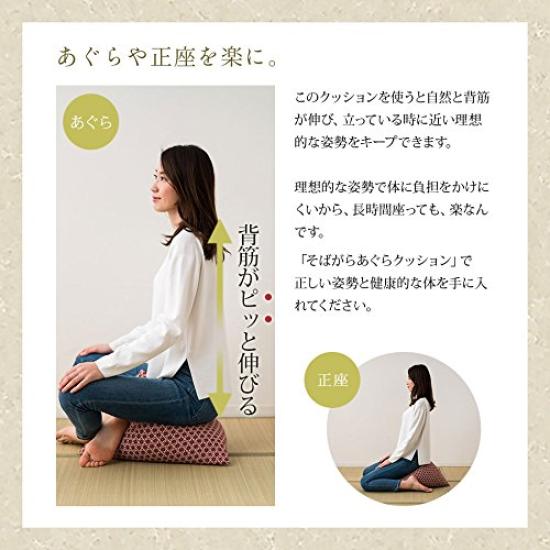 Emur Vyrobeno v Japonsku Přírodní pohankový polštář s krásným japonským vzorem Konopný list Ao