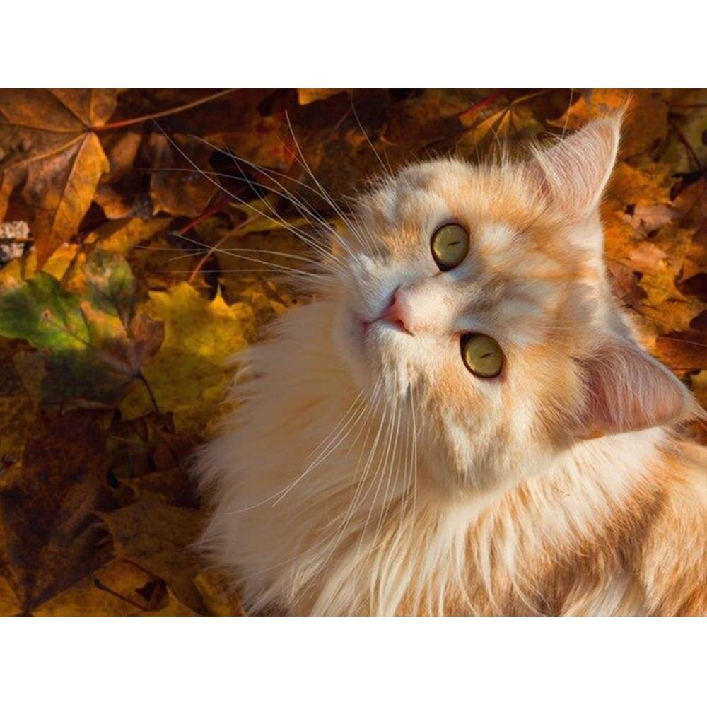 Full Round Autumn Scenery And Cat Diamond Embroidery 5D DIY Diamond Painting Mosaic Home Decoration Gift New