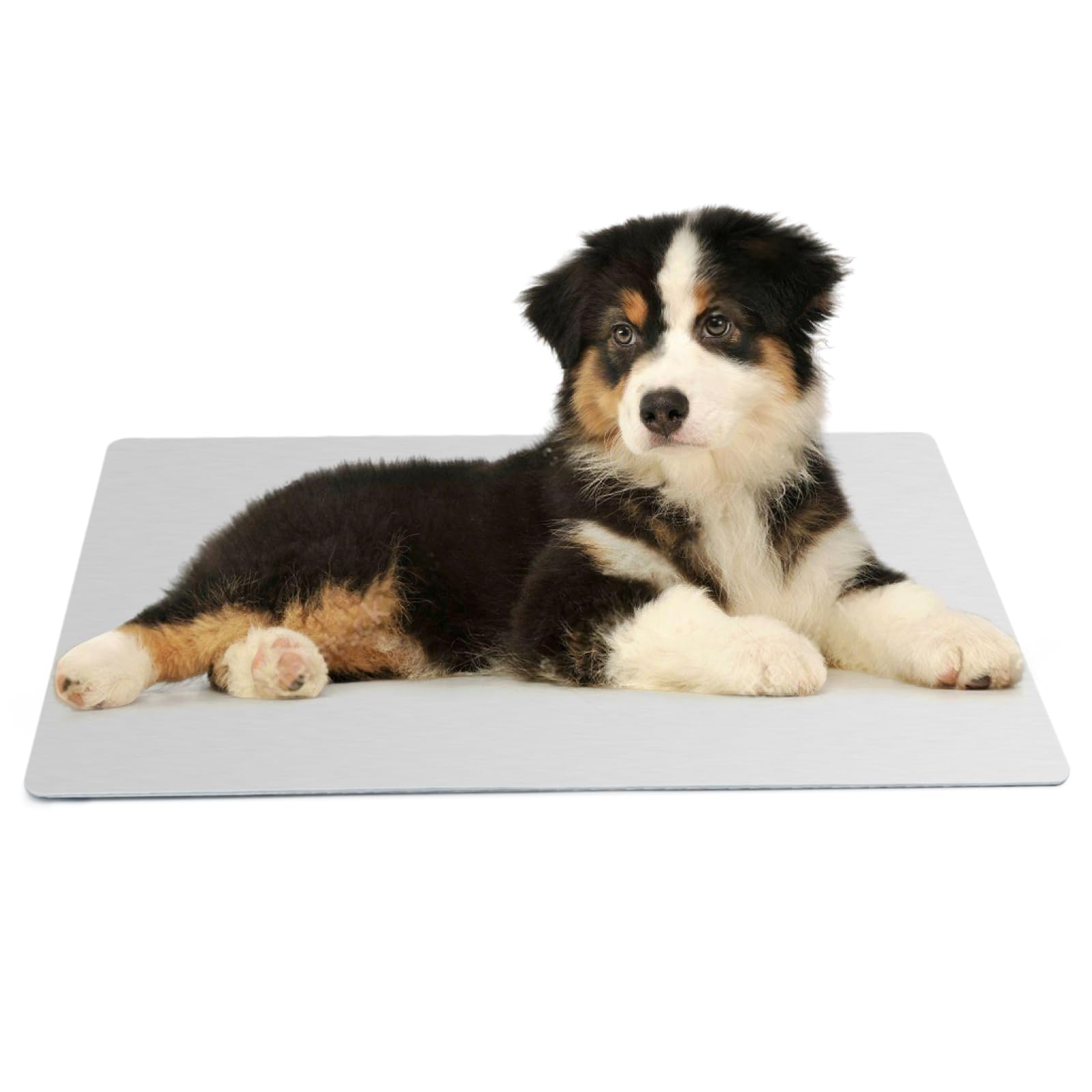 

MARUNDA Охлаждающая пластина для кошек Охлаждение Охлаждение Летняя жара Тепловой удар Большой Большие Собаки Собаки, Коврик, Прохладный, Алюминий, 49,829,8 см, Прохладный, Лист, Товары, серый