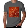 Petroglyphs on newspaper rock at Canyonlands national park Tshirt quick drying boys animal print sweat shirts men
