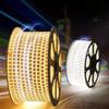 Beigong LED Flexible Light Strip 4W/m 220V