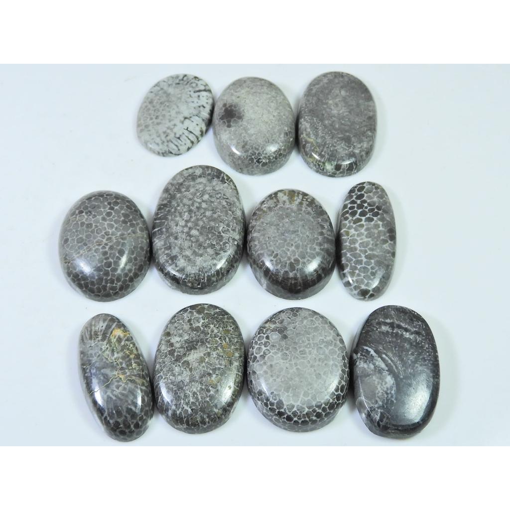 221Cts. Natural Black Fossil Coral Oval Cabochon Loose Gemstone 11Pcs Lot C-638