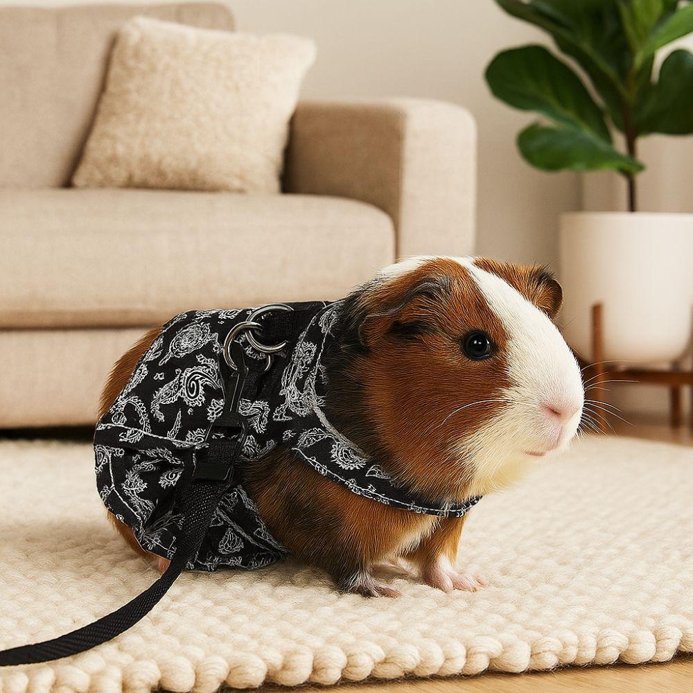 Soft Reptile Harness Dress Adjustable Reptile Walking Leash  Take Pictures