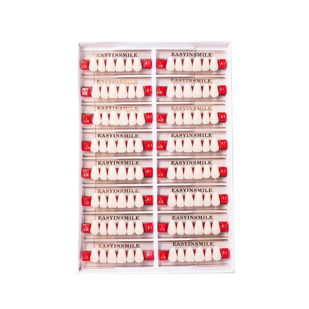 16/12 Sätze/Karton Zahnprothese Zähne Oberkiefer Frontzähne Unterkiefer Seitenzähne Dentier Synthetisches Polymerzähne Zahnmedizinische Ausbildungsmodell