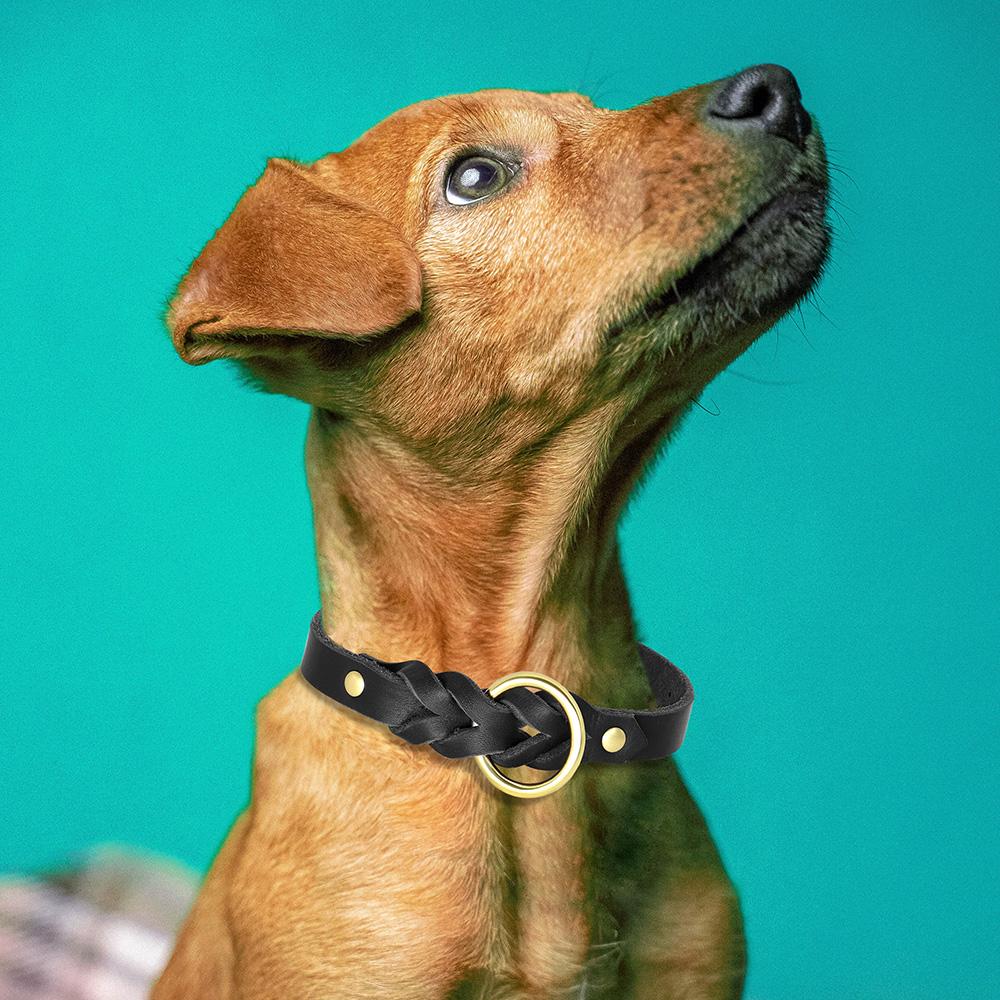 Soft Real Leather Dog Collar and Leash Set Adjustable Braided Dogs Collars 150cm Lead Rope for Medium Large Dogs German Shepherd