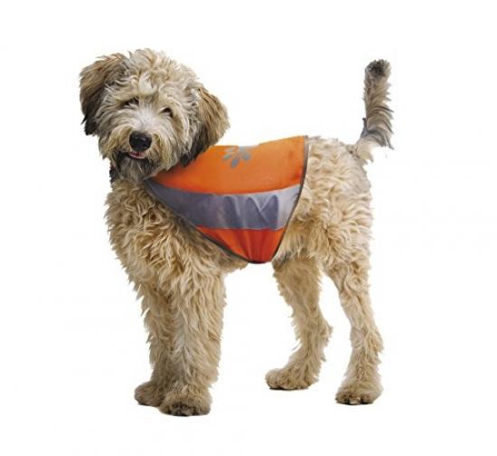 croci dog jacket