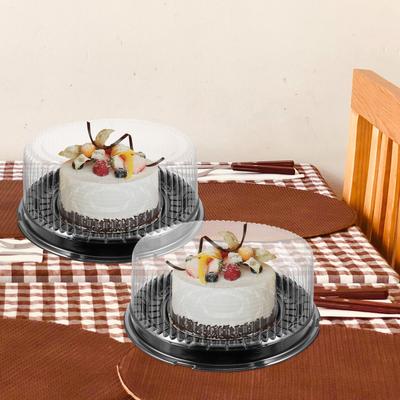 10 Pcs Cake Box Wedding Boxes Display Containers Plastic with Lids Pie Dessert Packaging Handmade Slice The Pet Carrier