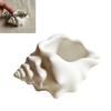 3D Printed Conch Storage Bowl Shell Dish, Seashell Trinket Tray for Jewelry Artistic Makeup Gadget Container Keys, Ocean Style Home Decor Ornament