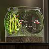 Round Desktop Aquarium Resistant Falling Ornamental Fish Decor 2025 Fish Tank