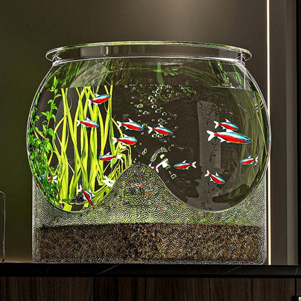 Round Desktop Aquarium Resistant Falling Ornamental Fish Decor 2025 Fish Tank
