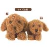 Sun Lemon Knees Toy Poodle Br Ss 15 X 26 X 12 Cm Plush Animal Cute Dog Dog P 8082 Toy Poodle Brown Ss