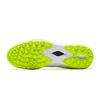 Anta Professional Training TF (Rubber Studs) Durable Non-Slip Soccer Shoes Men Soccer Shoes White Green 412511121-3