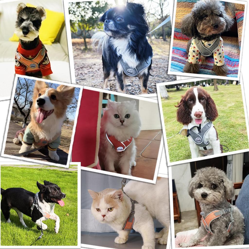 Miru Pochi Dog Cat Harness Small Dog Extra Small Dog Puppy Lead Set Collar Soft Pet Easy To Put On Collar Safe Lightweight Reflective Walking