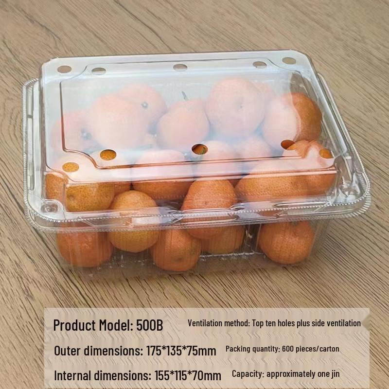 Portable Disposable Transparent Plastic Rectangular Fruit Packaging Box with Lid
