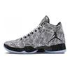 Air Jordan 29 'Black History Month' 727133-110