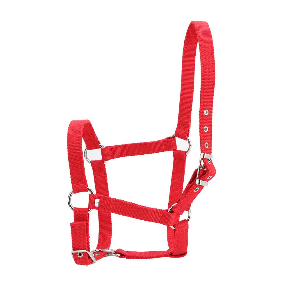High Density 6mm Thickened Webbing Horse Bridle Control Halter Riding Accessories Red Color