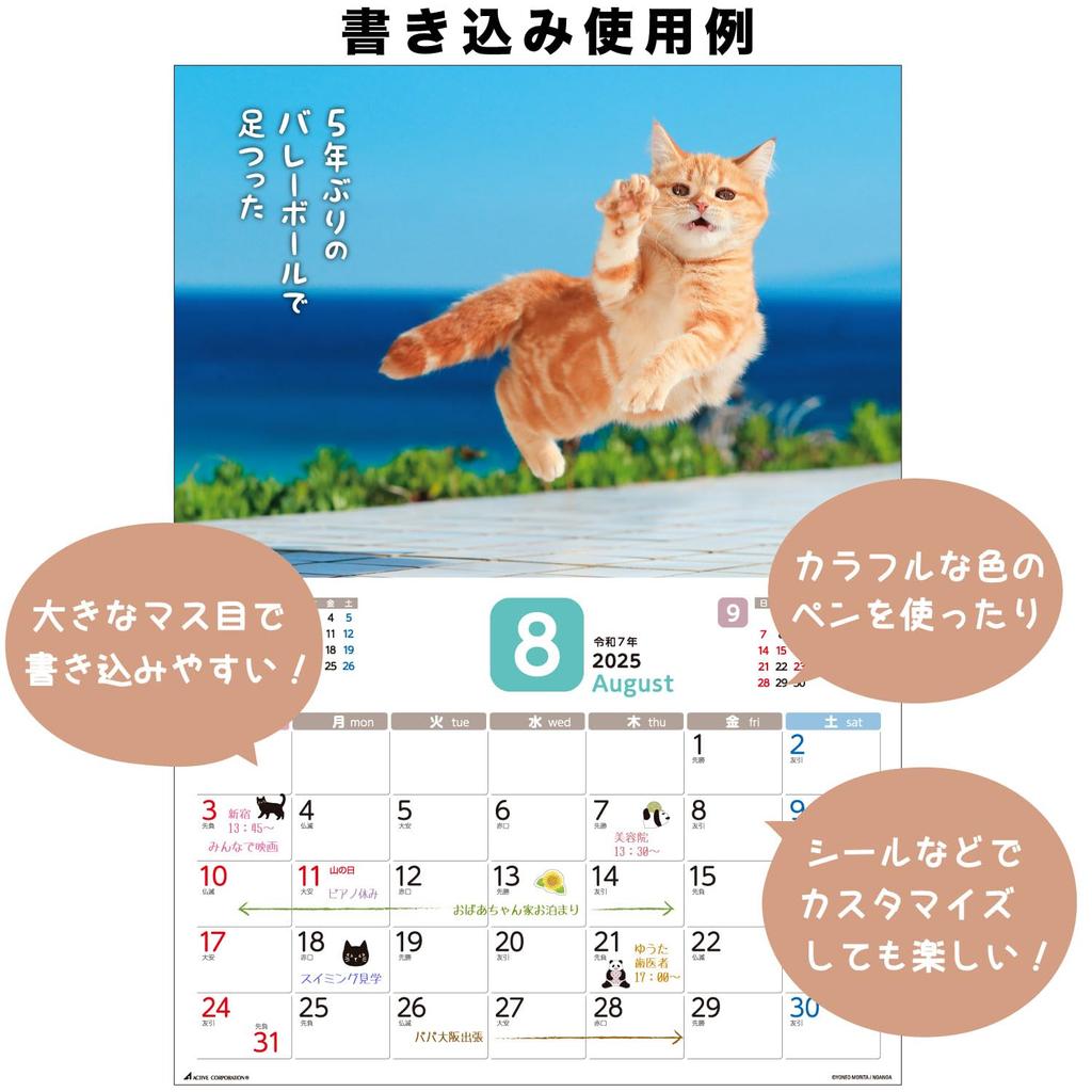 Active Corporation 2025 Ημερολόγιο Επιτοίχιο Επειδή είναι γάτα. 25ACL-66 Ξεκινώντας τον Ιανουάριο του 2025