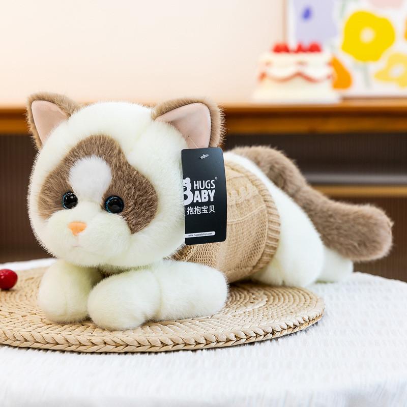 Plush Cat Toy Kids Gift With Soft Pp Cotton Filling For Childrens Birthday Gift