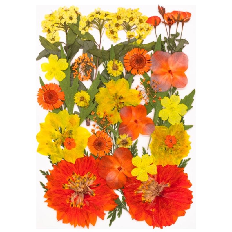 Natural Dried Flower For Epoxy Resin Molds Dry Flowers and Leaves Set for Art Craft Candle Jewelry Making Scrapbooking