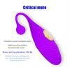 Women's Jumping Egg Vibration Masturbation Device Wireless Remote Control USB Charging Fun Silicone Waterproof Toy Adult Products