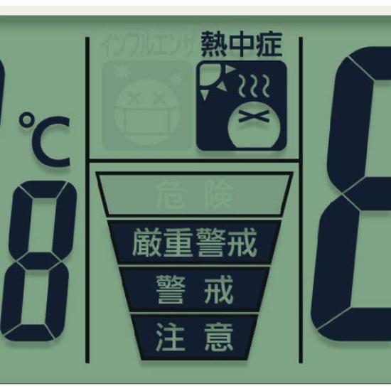 RHYTHM CITIZEN Wall Thermometer and Alarm CITIZEN Inform Navi Clock, Radio-Controlled Clock, Hygrometer, Sound, Silver, F, 27.5×5.0cm, 4FY618-019