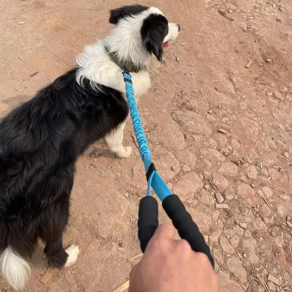 New Retractable and Elastic Dog Leash Medium&Large Dog Leash Walking Leash Comfortable Grip Anti Loss and Control of the Dog