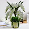 Artificial flower Phalaenopsis Vase set Fake flower plastic Home living room decoration Indoor bonsai farmhouse decor christmas
