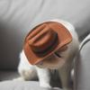 Pet Cowboy Hat Mini Pet Cosplay Cap Dress-up Bandana Scarf Halloween Costume Accessories for Small Medium Dogs Cats Party Decoration