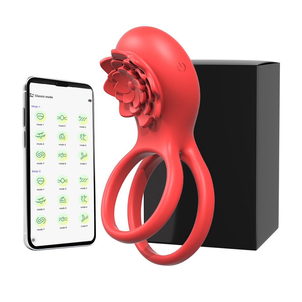 Penisring Vibrator Neun Frequenzen Doppelmotor Zwei-Punkt-Vibration Verzögerte Ejakulation Vergrößerte Erektion Sexspielzeug für Mann Paare