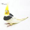 Adjustable Parrot Recovery Collar Anti-Biting Injury Protection Fastener Tape Fixing Bird Collar Pet Bird