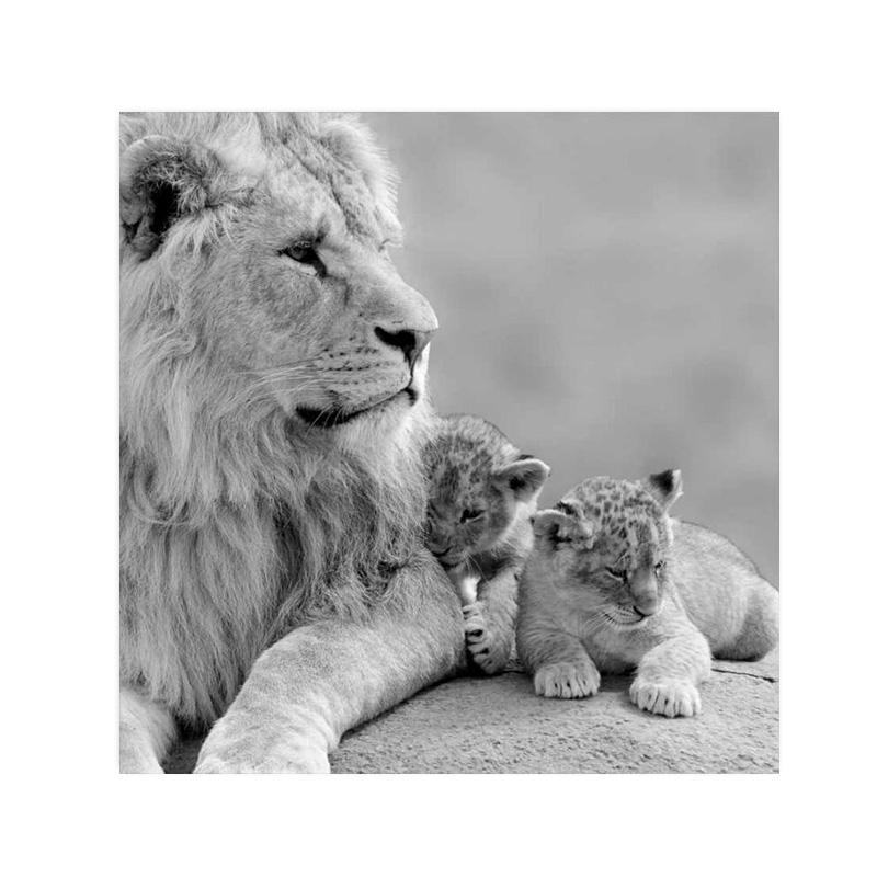 

Дикий лев холст картины постеры и принты современное настенное искусство картина для гостиной украшение дома Cuadros 30X30cm No Frame