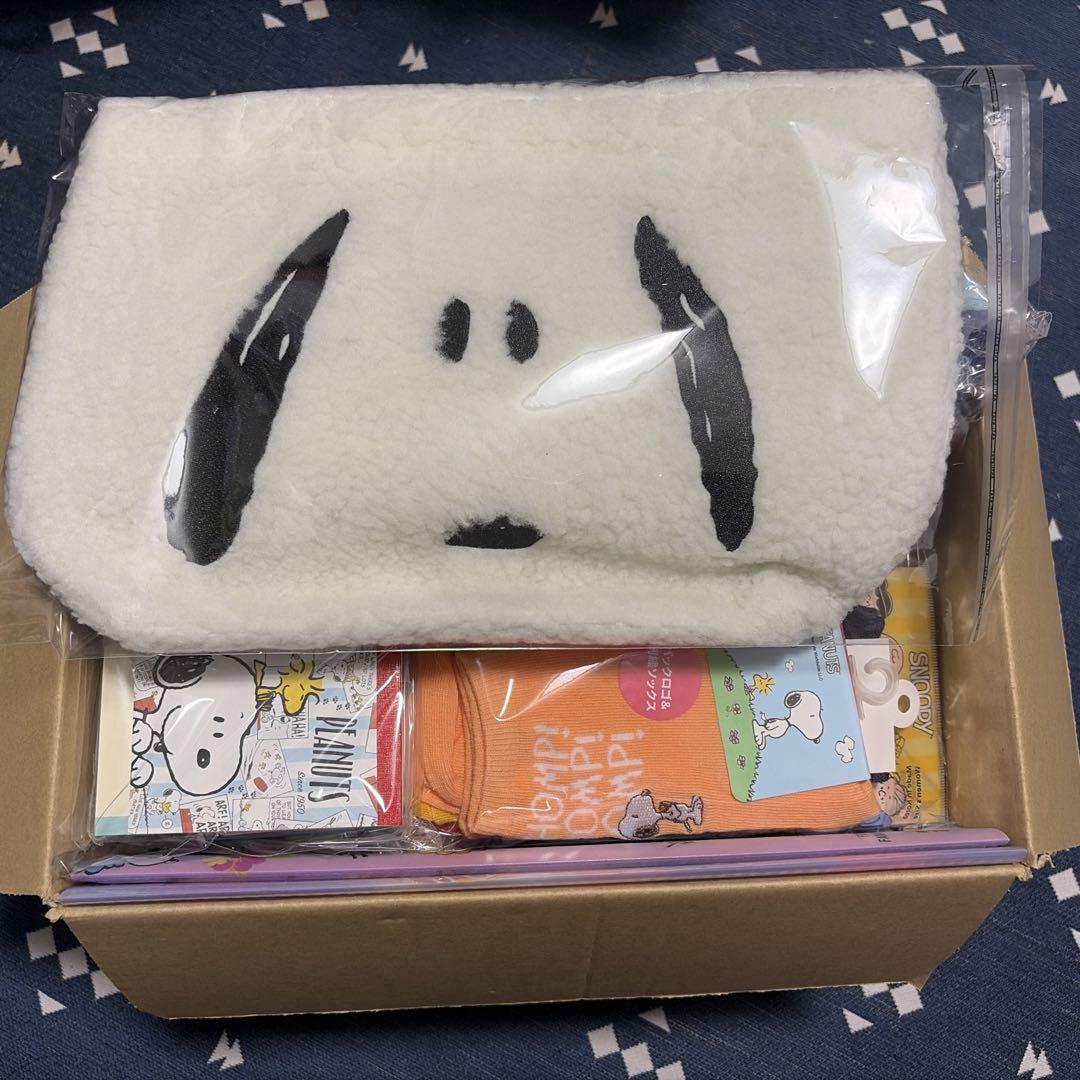 

[Б/У] Счастливая коробка из 22 предметов Snoopy, размер 80A