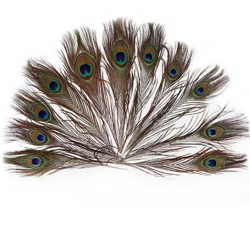10Pcs/lot Peacock Feathers Length 25-30cm10-12 Natural Peacock Feathers for Crafts Peacock Decorations for Home Hotel Decoration