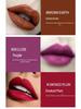 25-Color Matte Lipstick Palette: Waterproof & Moisturizing Lip Gloss Set