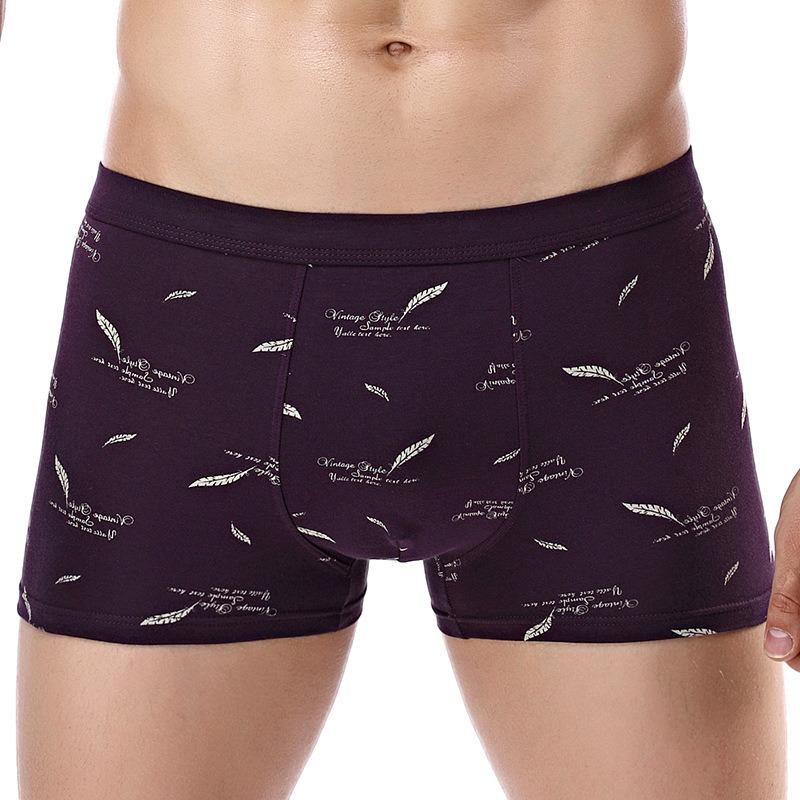 Printed Cotton Mens 3d Boxer Briefs