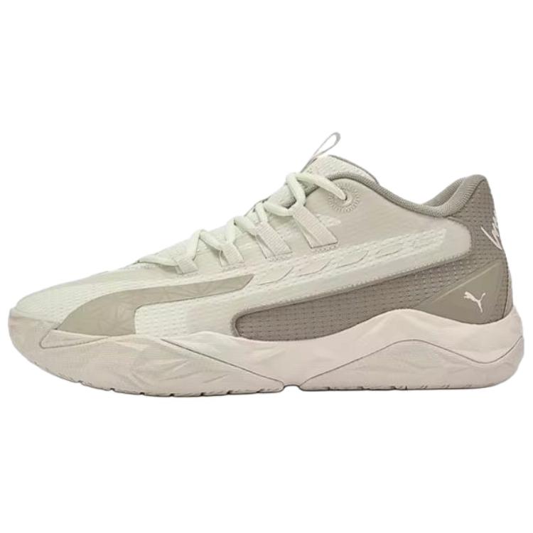 Puma Chaussures de Basketball Homme Dagger 2 Mid Alpine Snow/Ice Coffee 312748-07