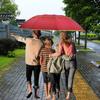 Rain Protection Wind Resistant Umbrella Folding Design Non-automatic Umbrella  Travel