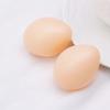 Plastic Fake Dummy Egg 5pcs Hen Poultry Chicken Layer Coop Hatching Simulation
