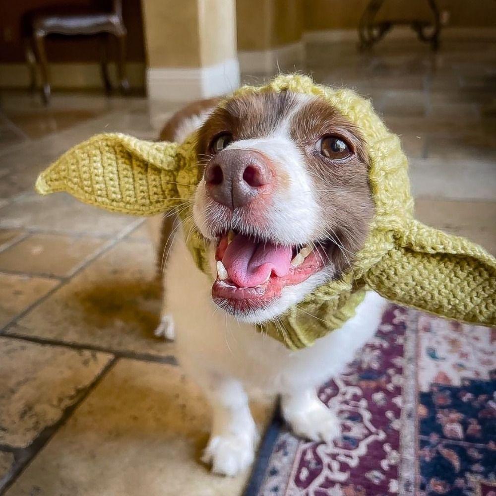 Creative Noise Protection Dog Hat Windproof Warm Ear Muffs Knitted Adorable Pet Ears Covers Winter