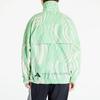 Adidas X Stella McCartney Collaboration High-Contrast Striped Pattern Full Print Stand Collar Work Jacket Women Jacket Green HS0988