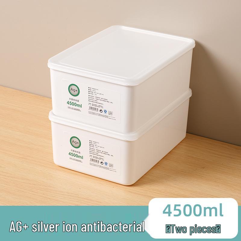 Large Capacity Fresh-Keeping Storage Box for Steamed Buns and Dumplings