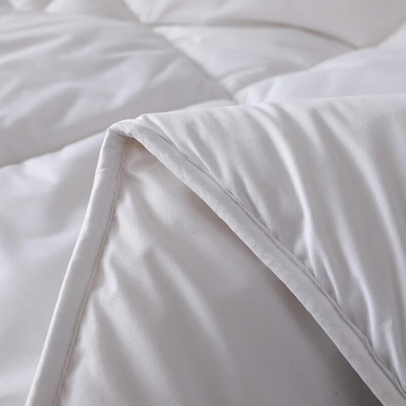 MINISO Bordeaux Washable Winter Duvet