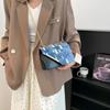 2025 Spring New Niche Design Casual Shoulder Bag Women's Bag Tide This Year Popular Contrasting Color Messenger Small Square Bag