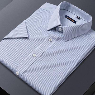 Camisas – Camisas de manga corta